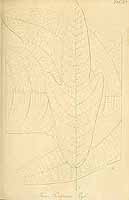  no thumbnail available