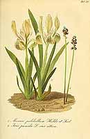  no thumbnail available