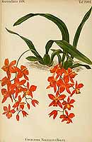  no thumbnail available