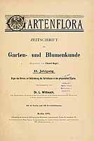  no thumbnail available