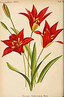  no thumbnail available