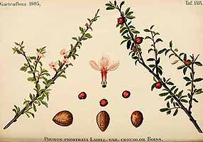  no thumbnail available