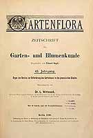  no thumbnail available