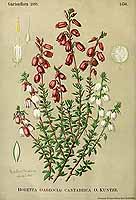  no thumbnail available