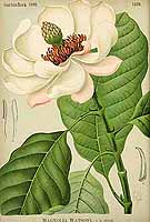  no thumbnail available