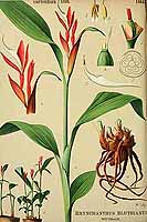  no thumbnail available