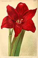  no thumbnail available