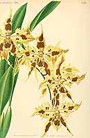  no thumbnail available