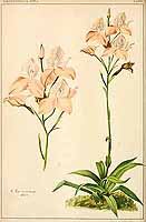  no thumbnail available