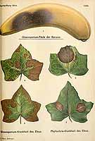  no thumbnail available