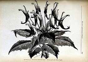  no thumbnail available