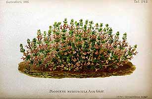  no thumbnail available