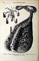  no thumbnail available