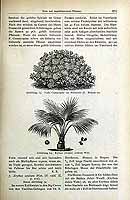  no thumbnail available