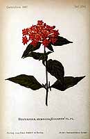  no thumbnail available