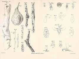  no thumbnail available