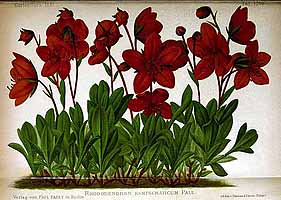  no thumbnail available