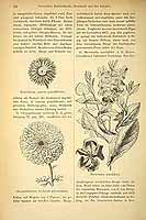  no thumbnail available