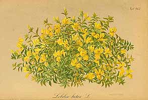  no thumbnail available