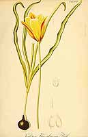  no thumbnail available