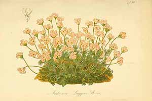  no thumbnail available