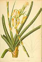  no thumbnail available