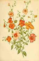  no thumbnail available