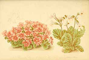  no thumbnail available