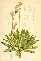  no thumbnail available