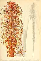  no thumbnail available