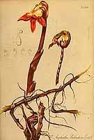  no thumbnail available