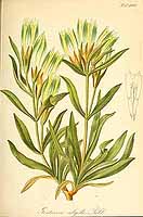  no thumbnail available