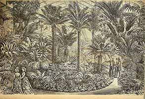  no thumbnail available