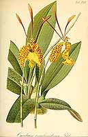  no thumbnail available