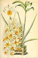  no thumbnail available