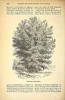  no thumbnail available