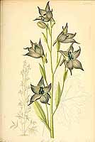  no thumbnail available