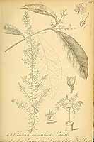  no thumbnail available