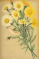  no thumbnail available