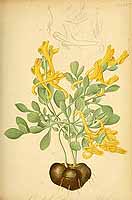  no thumbnail available