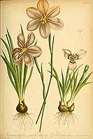  no thumbnail available