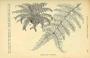  no thumbnail available