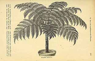  no thumbnail available