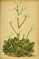  no thumbnail available