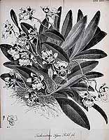  no thumbnail available