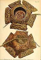  no thumbnail available