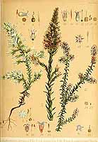  no thumbnail available