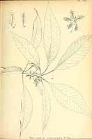  no thumbnail available