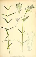  no thumbnail available