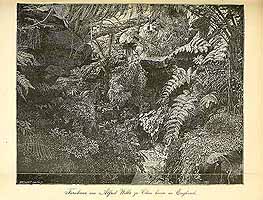  no thumbnail available